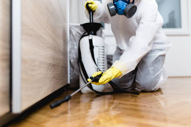 Best Affordable Pest Control Services  in Malmstrom Af, MT