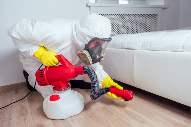 Best Pest Prevention Services  in Malmstrom Af, MT
