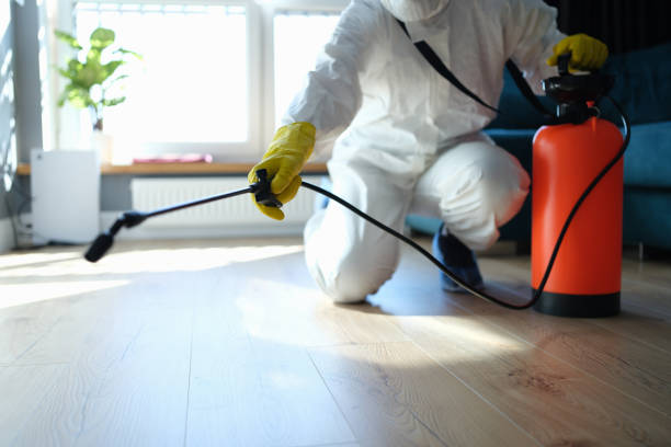 Best Termite Control Services  in Malmstrom Af, MT