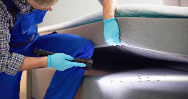 Best Best Pest Control Companies  in Malmstrom Af, MT