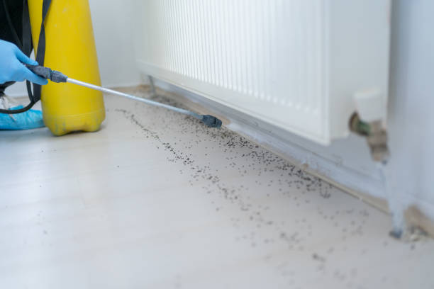 Best Residential Pest Control  in Malmstrom Af, MT
