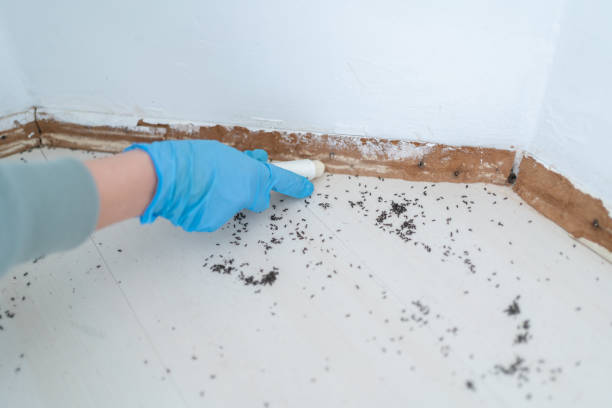 Best Best Pest Control Companies  in Malmstrom Af, MT
