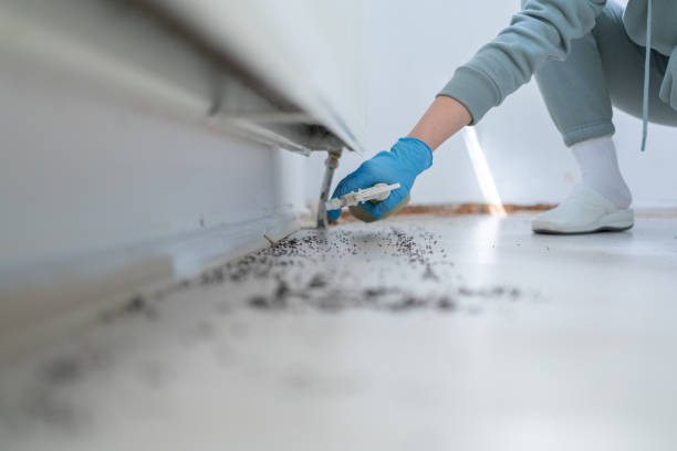 Malmstrom Af, MT Pest Control Company