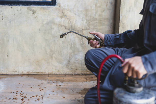 Best Pest Removal Services  in Malmstrom Af, MT